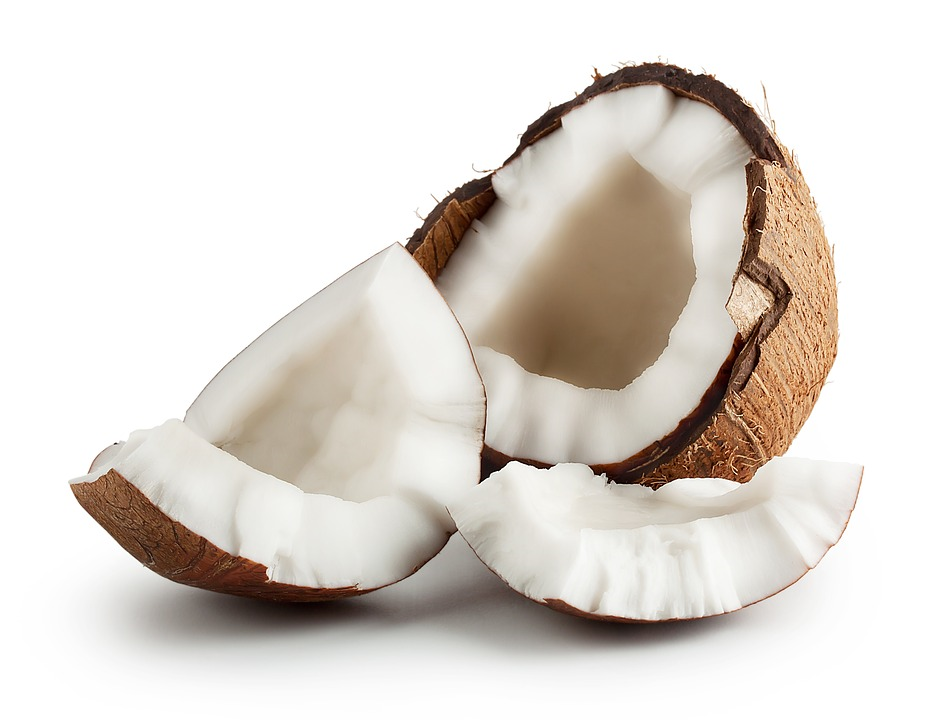 Cocco