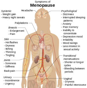 Menopausa e progestrone basso