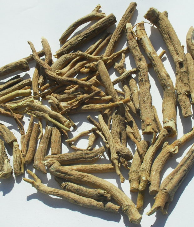 Ashwagandha